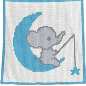 Star Fisher_C2C