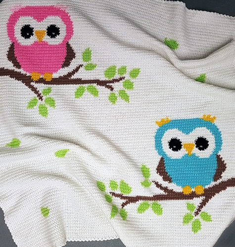 Two Owls