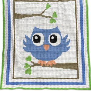 Blue Owl