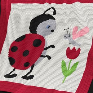 Ladybug