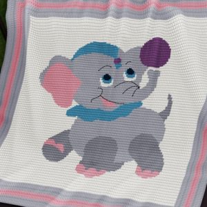 Circus Elephant