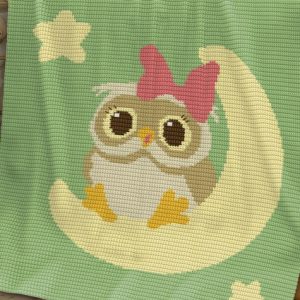 Owl on the Moon